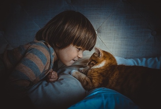 gatos e crianças pequenas - Foto: Olichel / pixabay.com
