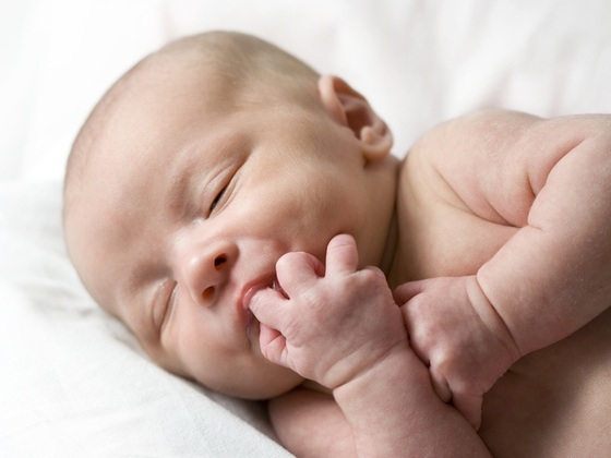 Bebê chupando o dedo - Foto: Brocreative/Shutterstock.com