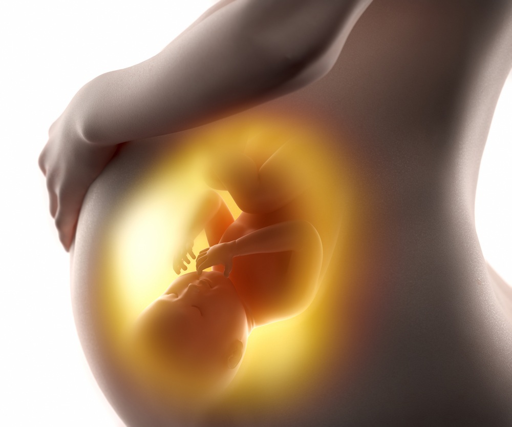 Ilustração gráfica mostrando bebê dentro da barriga da mãe - foto: CLIPAREA l Custom media/ShutterStock.com