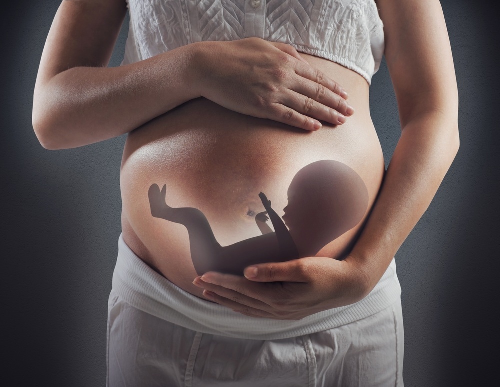 Ilustração de um bebê dentro da barriga da mãe - foto: alphaspirit/ShutterStock.com