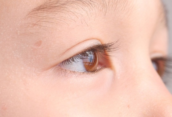 Olhos de uma criança - Foto: lapetitelumiere/Shutterstock.com