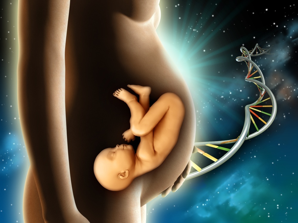 Ilustração de um bebê na barriga da mãe e símbolo do DNA - foto: Andrea Danti/ShutterStock.com