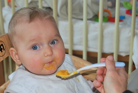 o primeiro alimento do bebê - Foto: Ben_Kerckx / pixabay.com