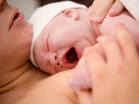 Bebê recém-nascido no colo da mãe - Foto: Kati Molin/Shutterstock.com