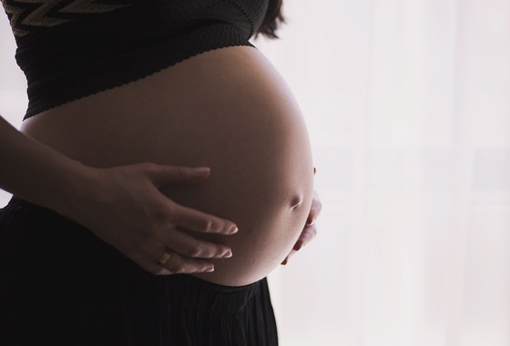 os cuidados com as grávidas no combate à febre amarela - foto: Unsplash / pixabay.com